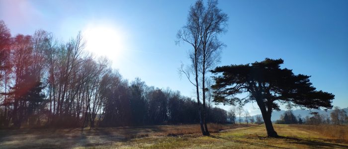 Auf dem Weg zum Rohrspitz - Höchst