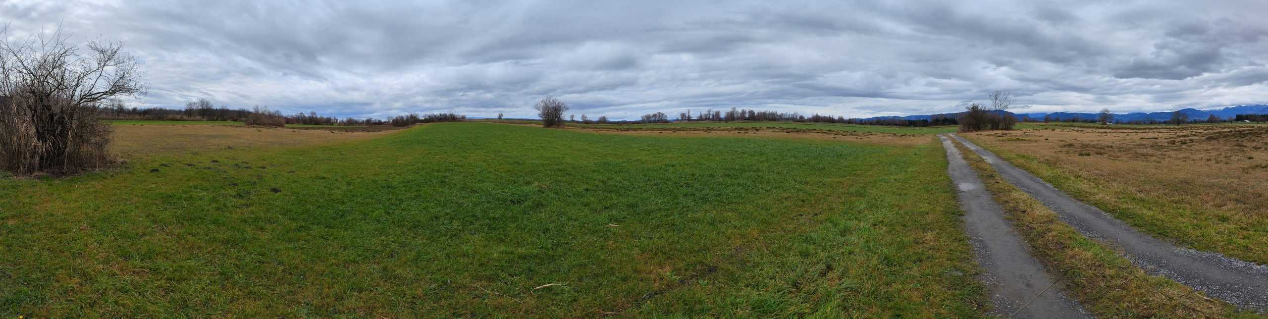 Rundweg Schweizer Ried Lustenau