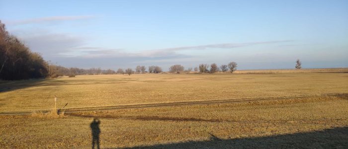 Monti am Polderdamm in Fussach