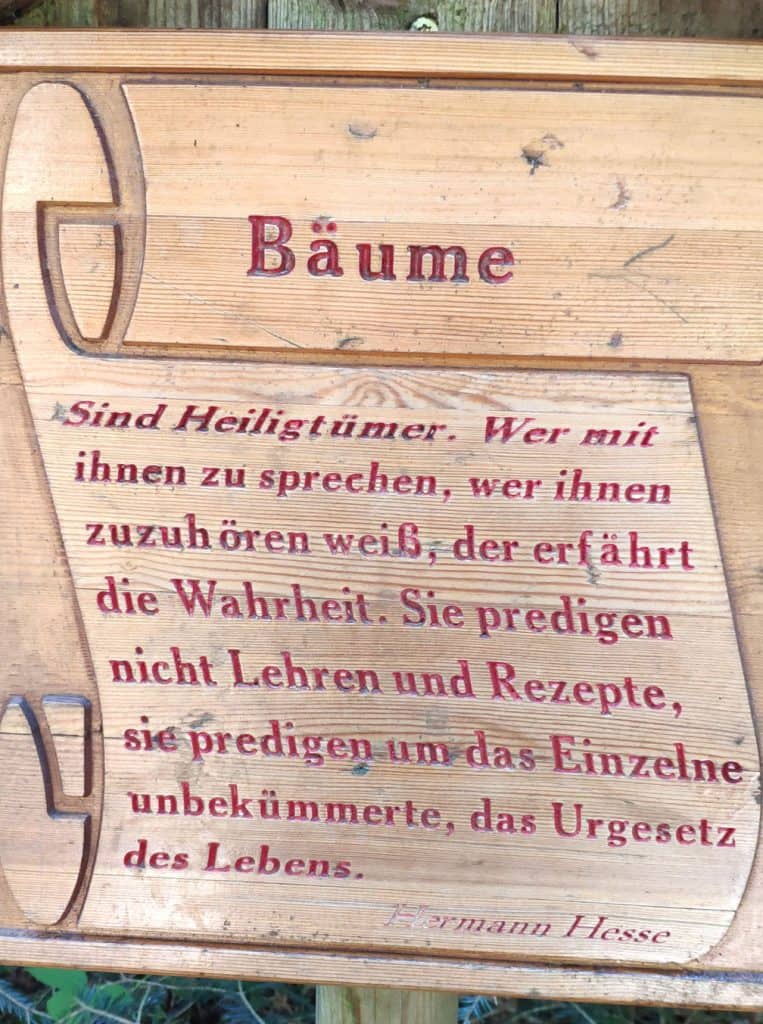 Bäume